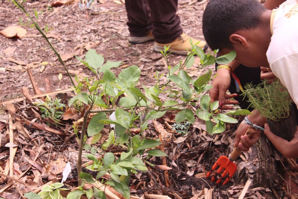 Arena Dicró inicia ciclo de agrofloresta na Penha, no Rio