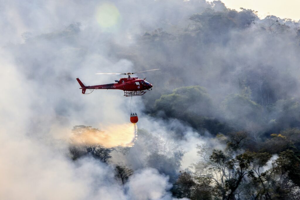 Bombeiros do RJ registram queda de 33% em incêndios em vegetação