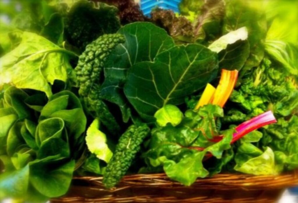 Brasil sai do Mapa da Fome, mas 44,8 milhões não pagam dieta saudável