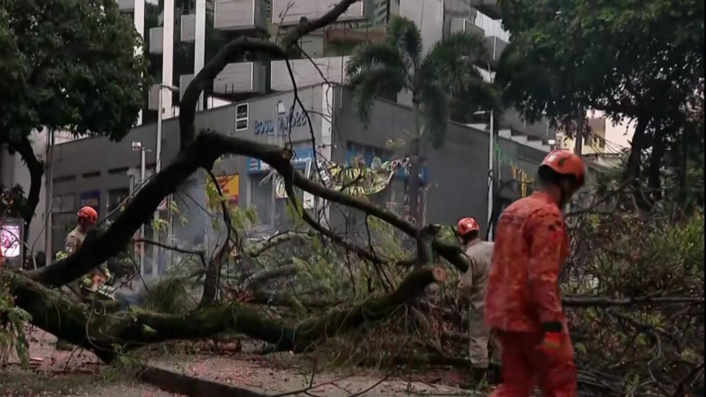 Chuva provoca queda de árvore e alerta cidades do Rio
