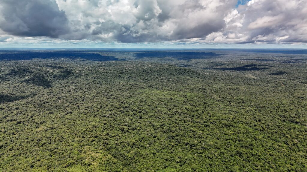 Desmatamento na Amazônia cai 41,8% e atinge menor nível da série
