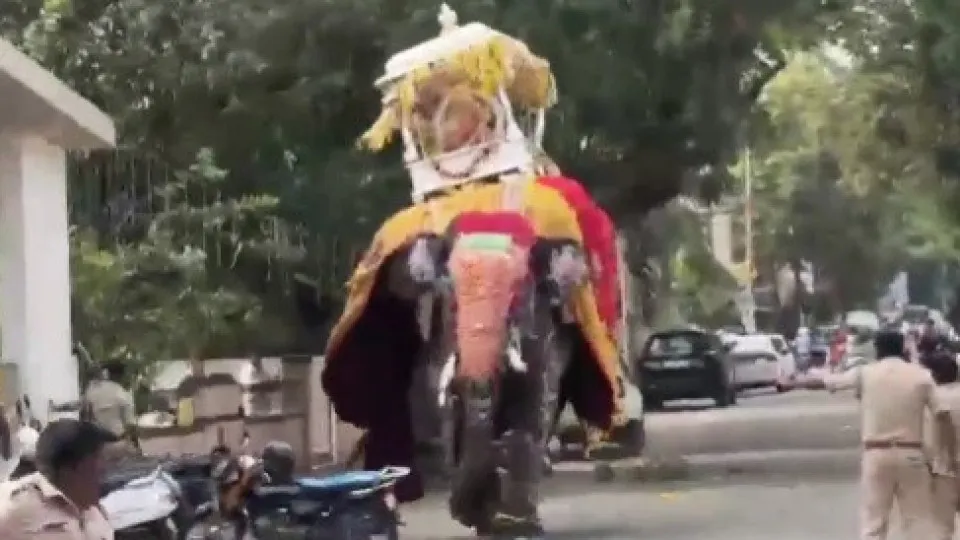 Elefante se assusta em festival na Índia e provoca pânico